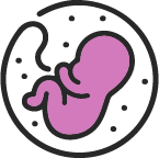 nėštumo kalendoriaus icon
